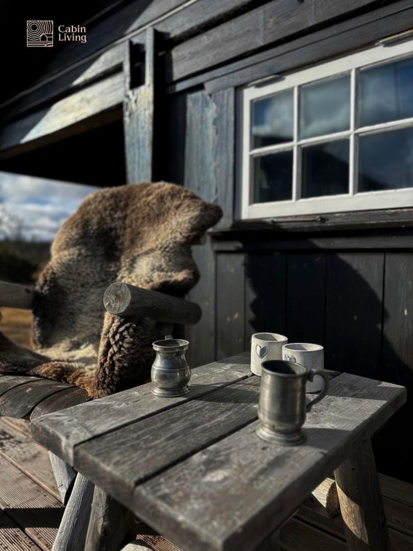 Cozy cabin near Geilo & Dagali terrace, grill, fireplace, view & WiFi Cabin in Viken, Norway