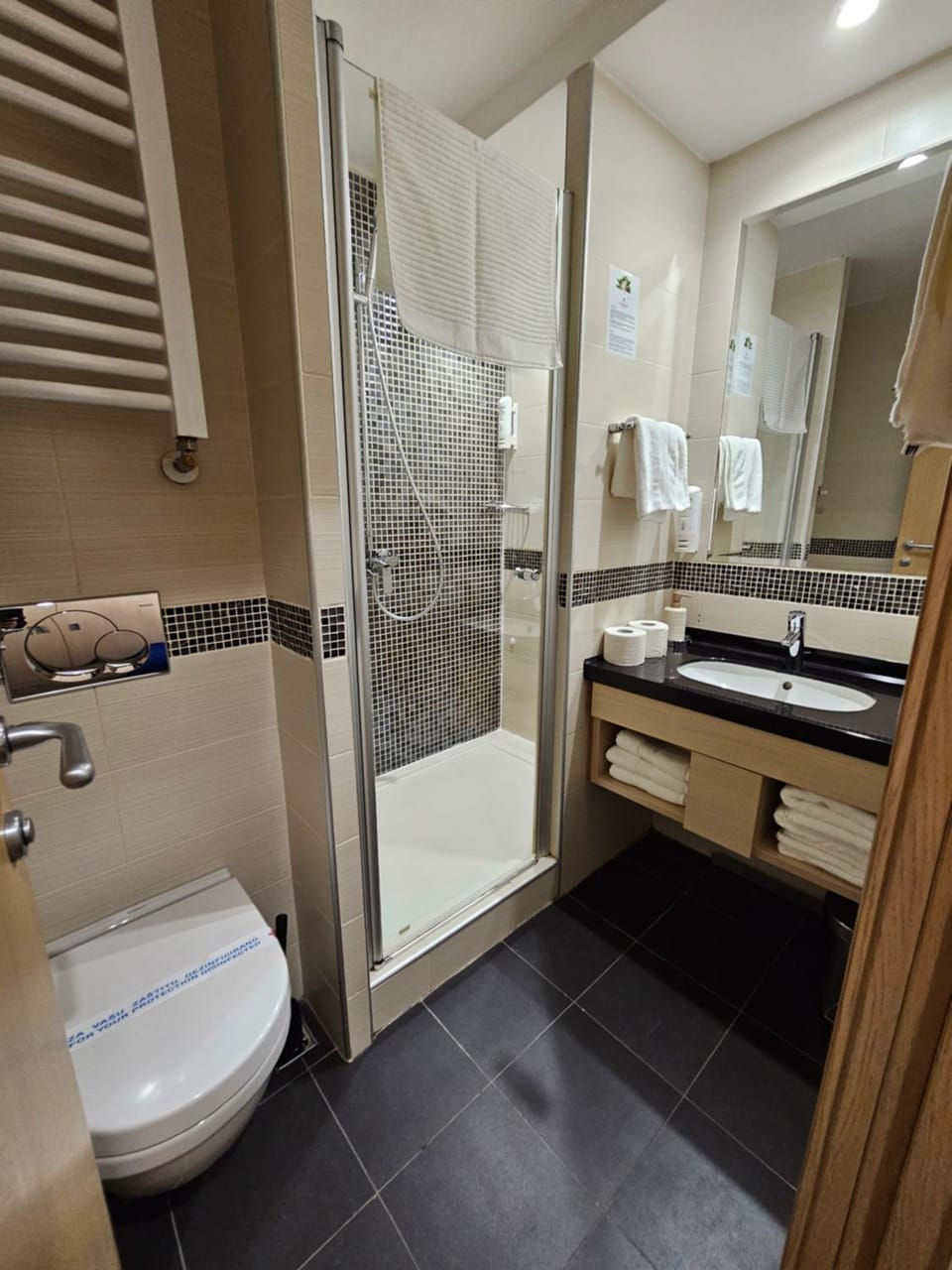 Shower, Toilet, Bathroom, towels