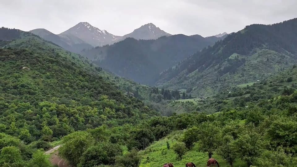 Villariba eco-camp Campground/ 
RV Resort in Almaty