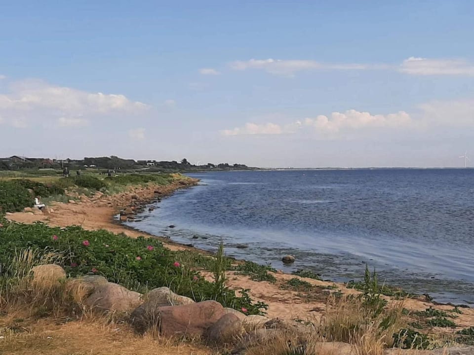 Lake view