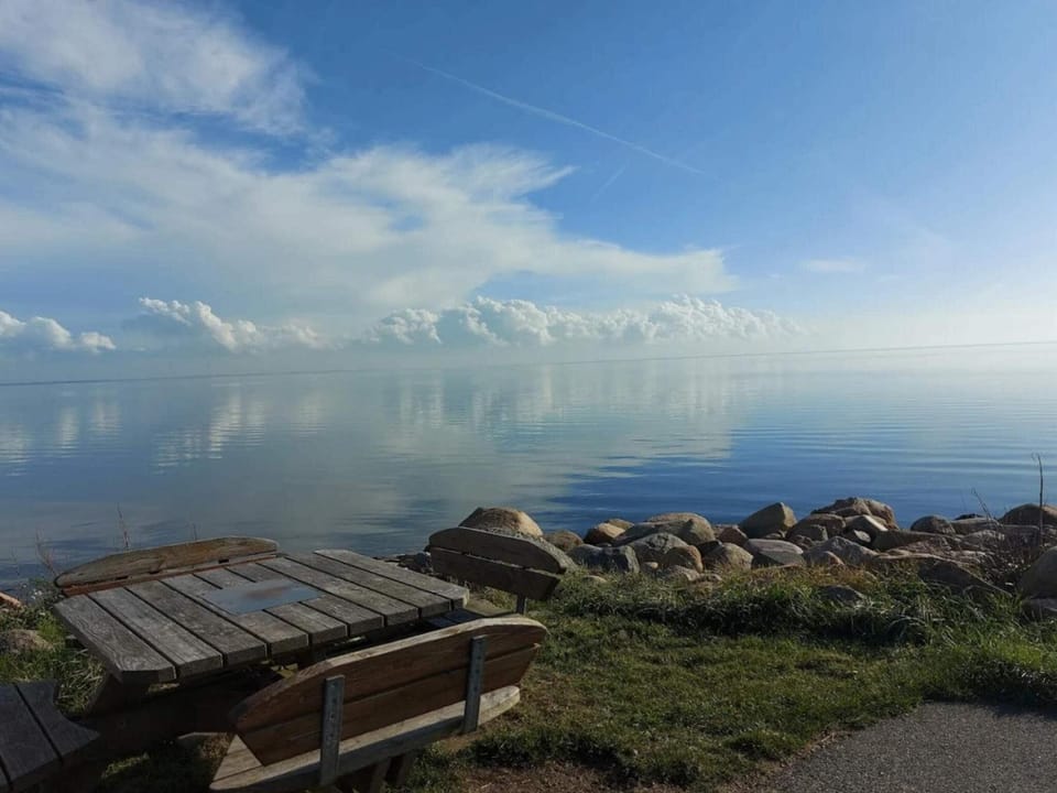 Lake view