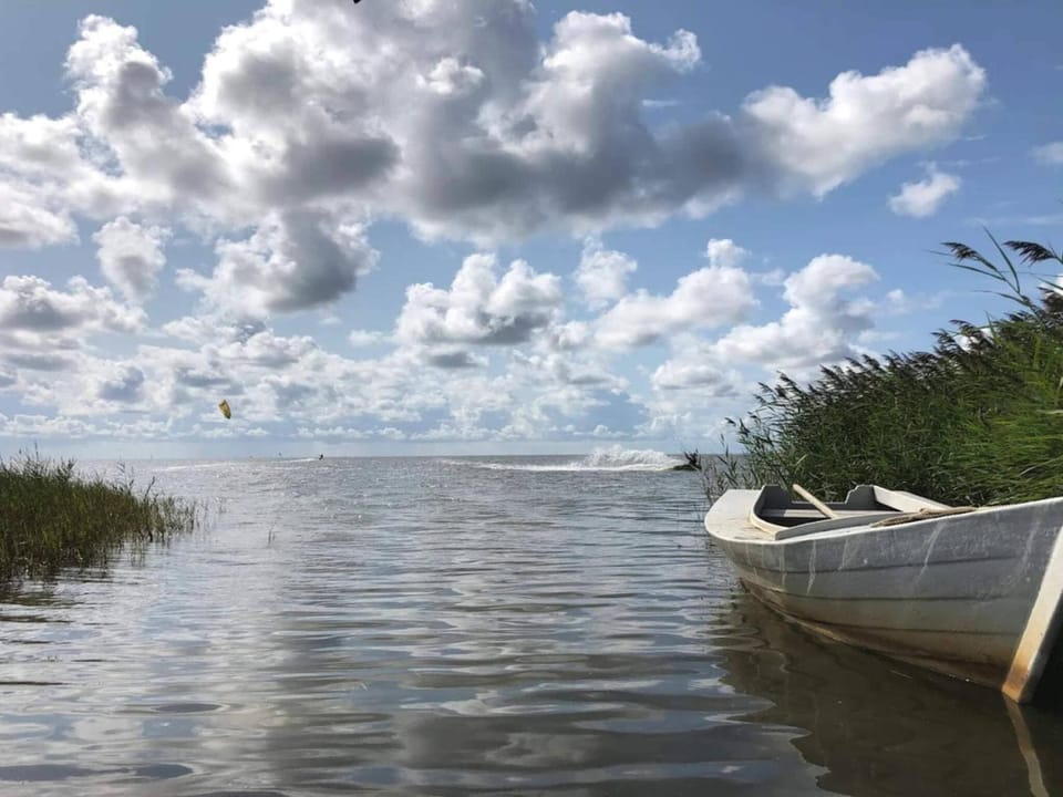 Lake view