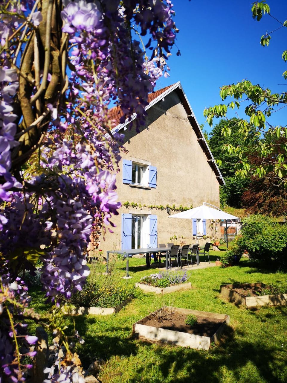 Property building, Garden view