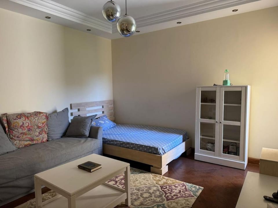 Apartment in New Cairo AUC avenue Apartment in New Cairo City