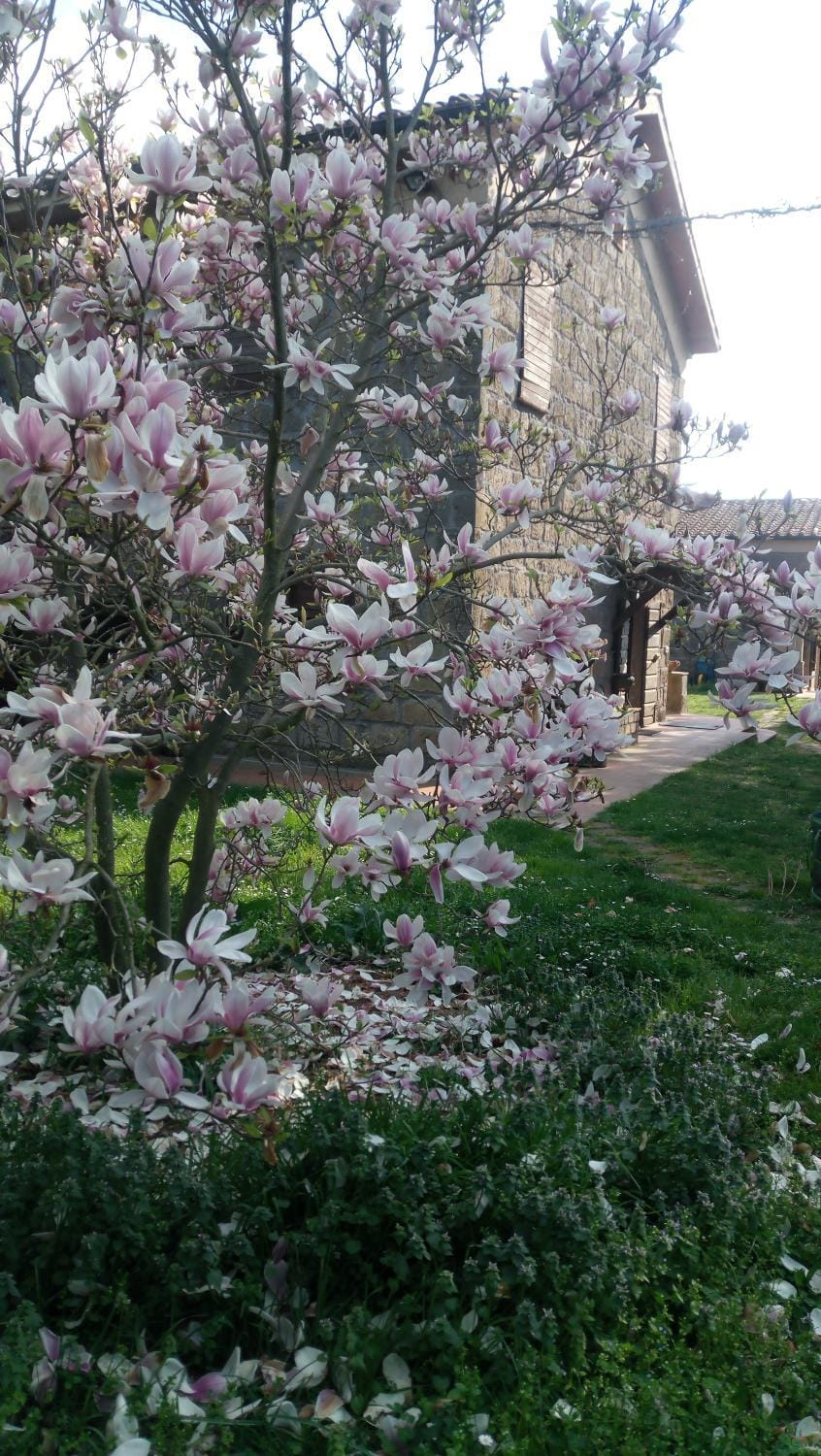 Property building, Facade/entrance, Spring