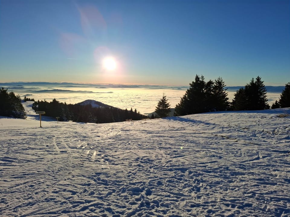 TomaR-Gondola Apartment in Serbia