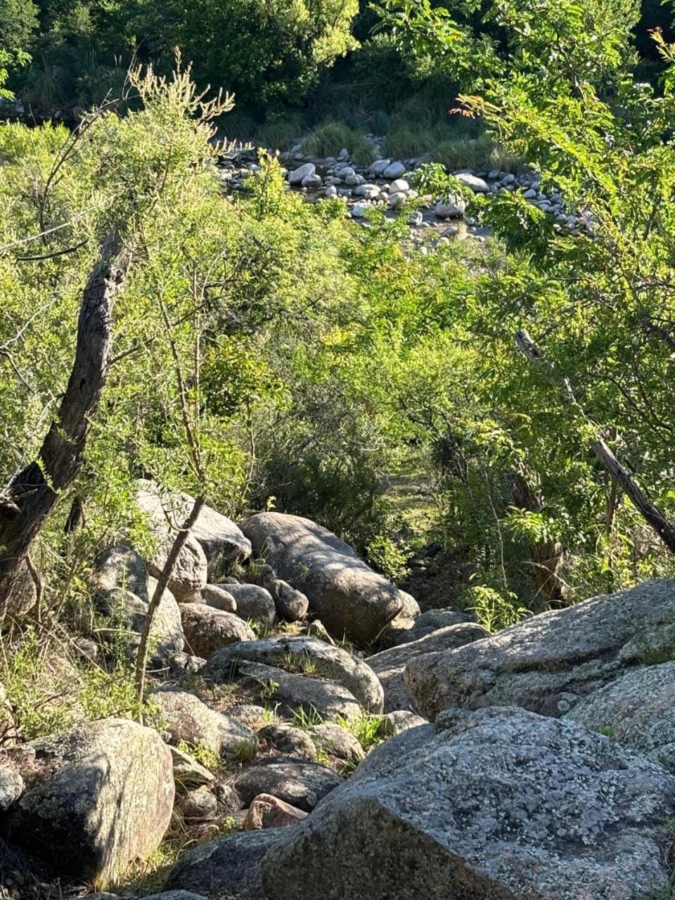 Hiking