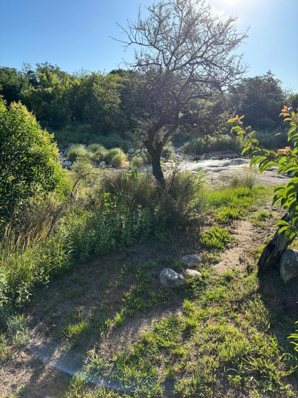 Hiking