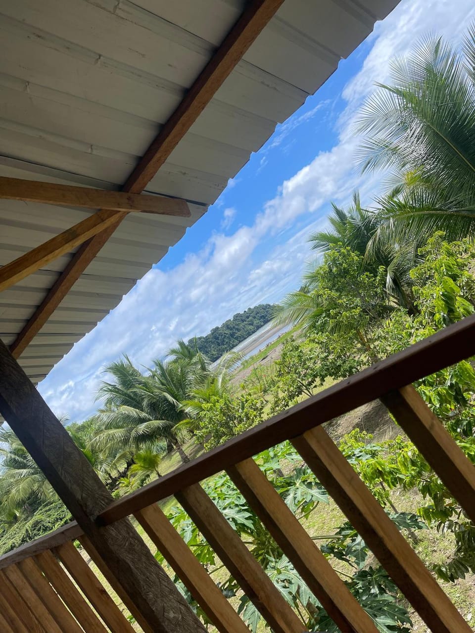 Property building, Off site, Natural landscape, View (from property/room), Balcony/Terrace