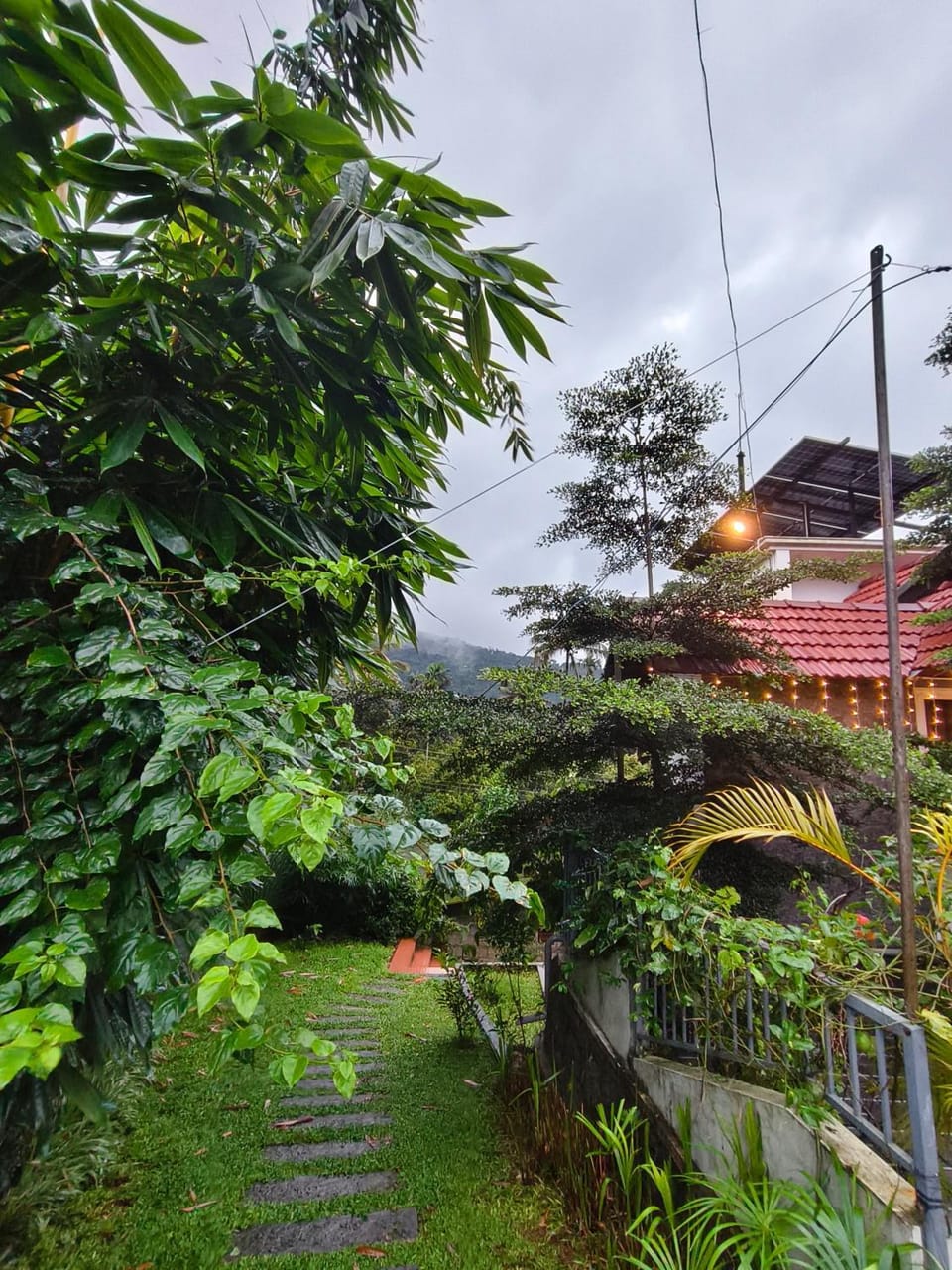 Garden view
