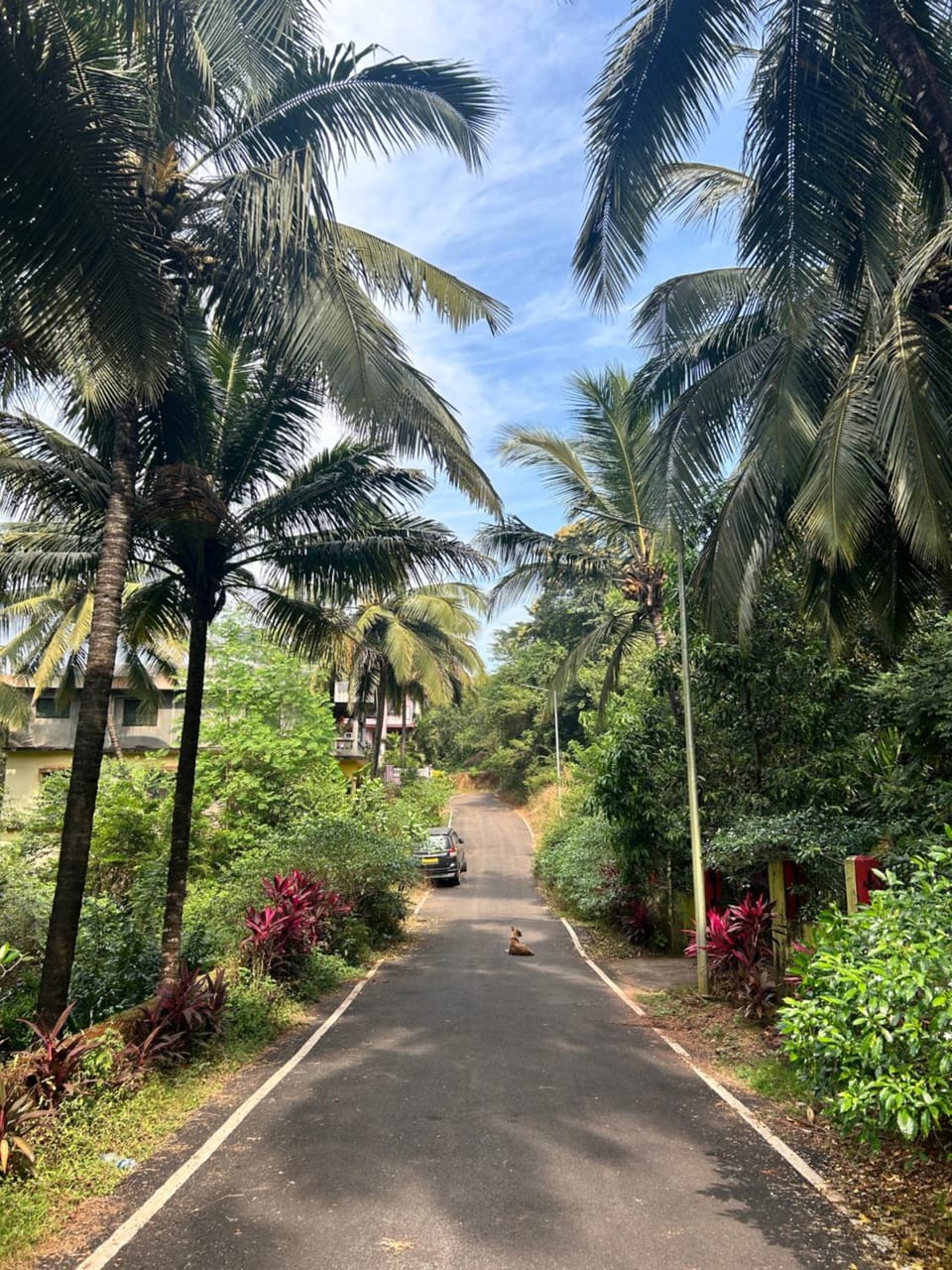 Sujata Homestay Vacation rental in Goa, India