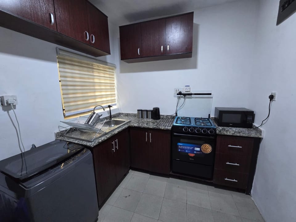 Kitchen or kitchenette, dishwasher, oven, toaster, washing machine, washing machine