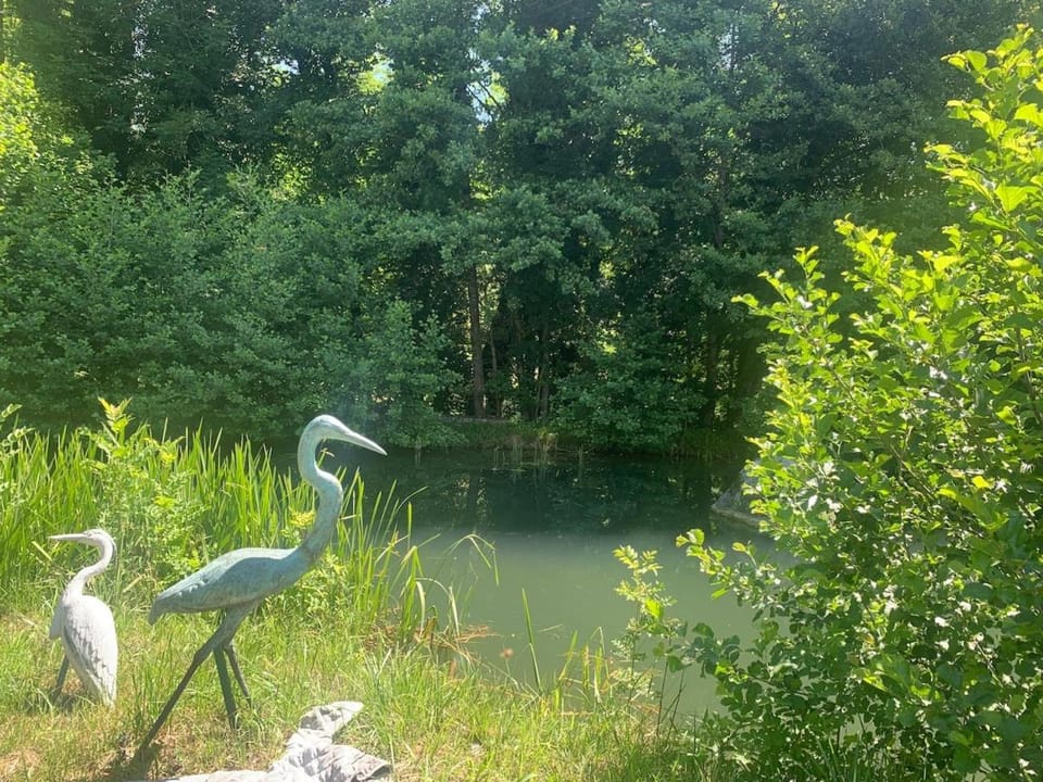 Chateau d 'Echenevex, Geneva Villa in Canton of Geneva