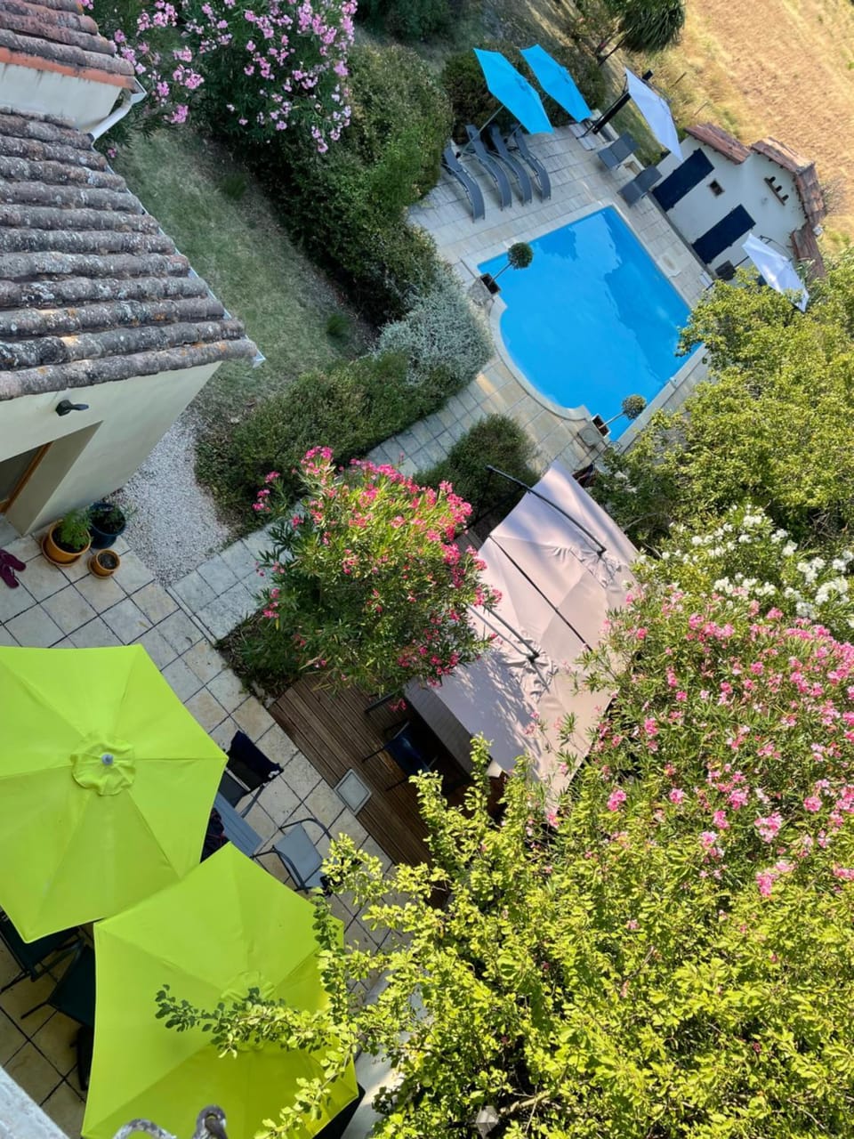 Patio, Garden, Pool view, Swimming pool