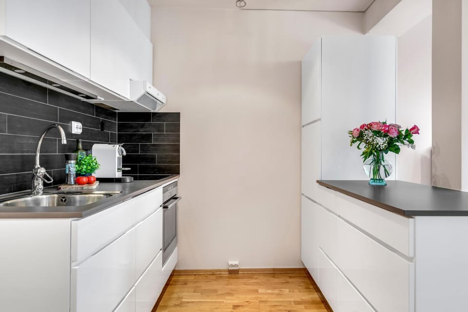 Kitchen or kitchenette, dishwasher, oven, stove