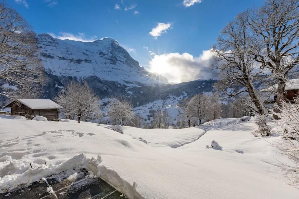 Schuerli Apartment - Aare Jungfrau AG Apartment in Grindelwald