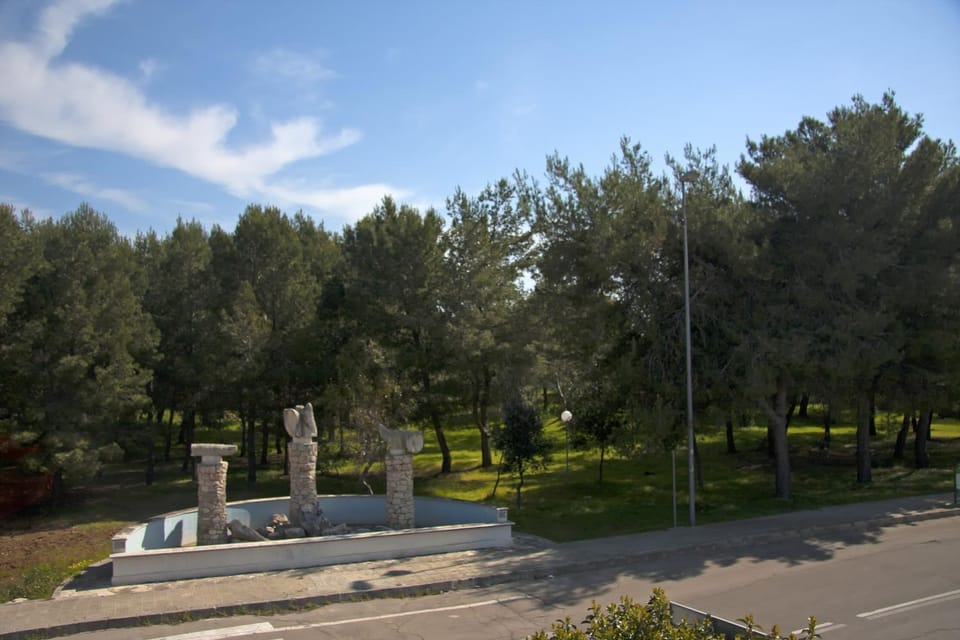 Area and facilities