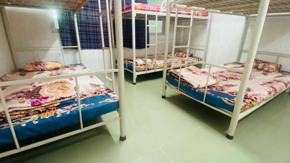 Bed, Photo of the whole room, Bedroom, bunk bed