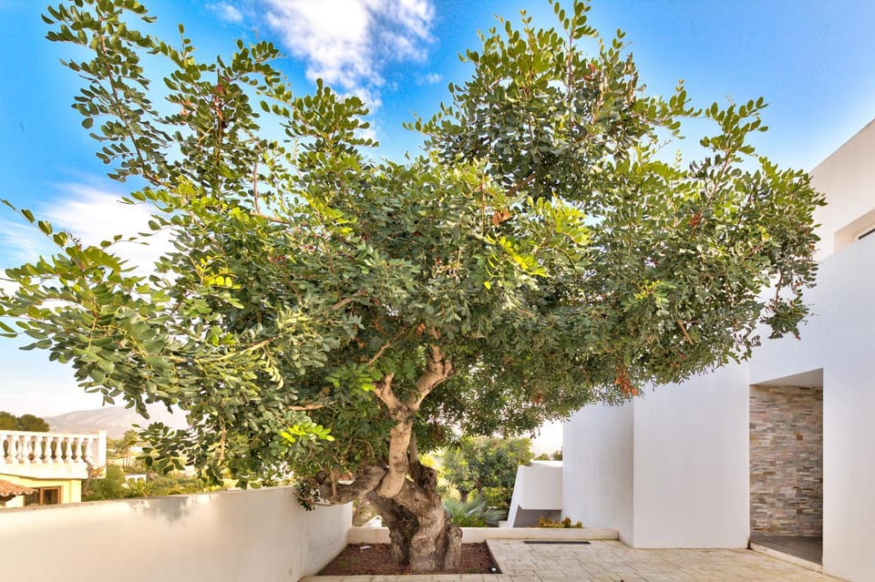 La Vista - Modern Luxury for 12 Guests Villa in Marina Alta