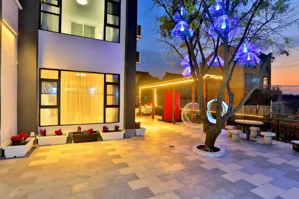 Property building, Night, Garden, Garden view