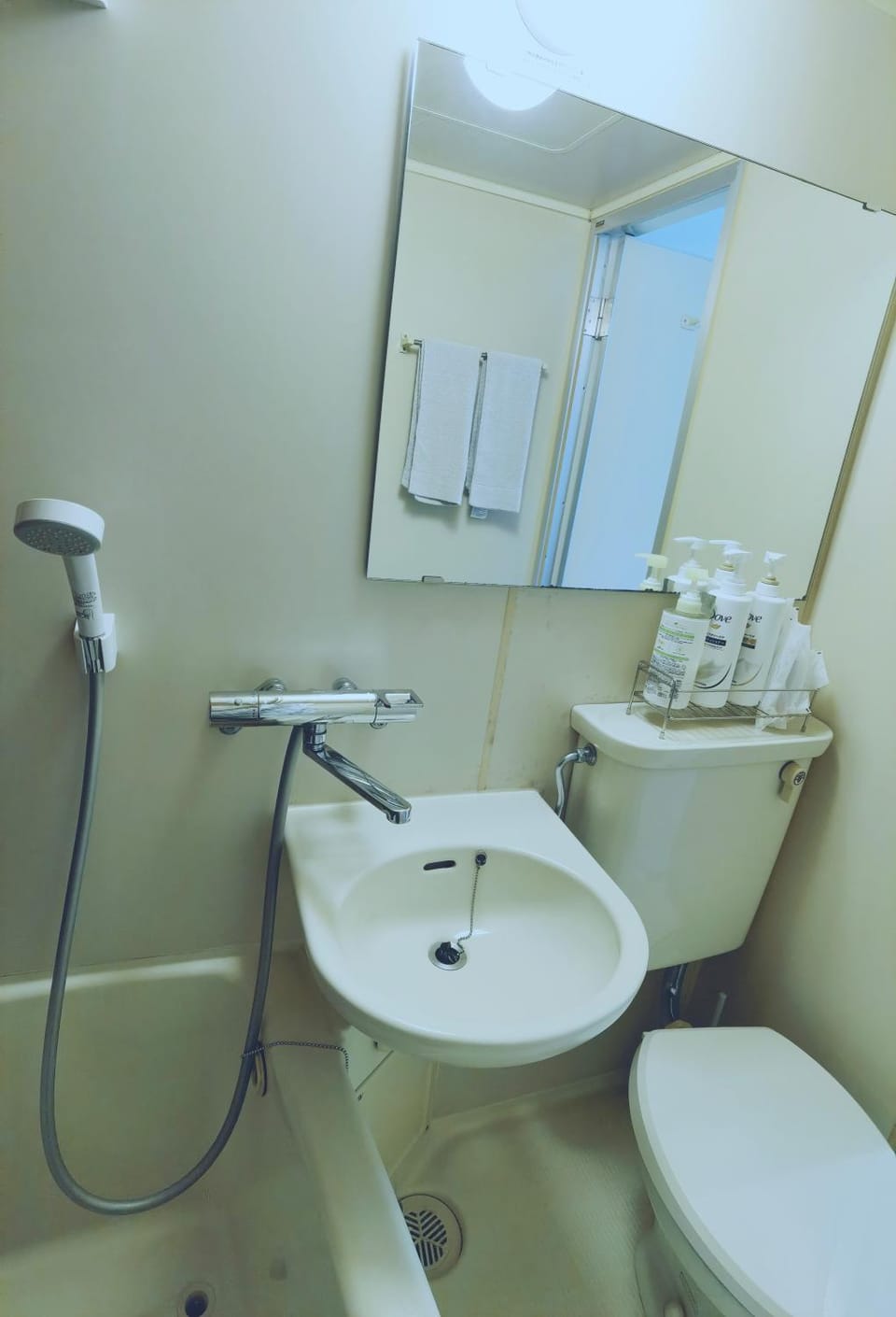 Shower, Toilet, Bathroom