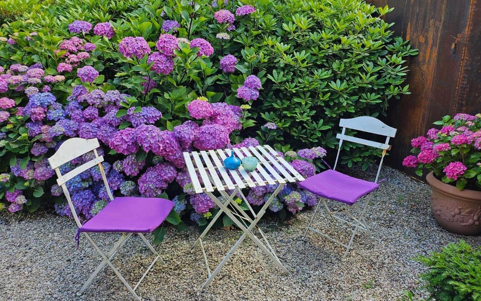 Garden, Garden view