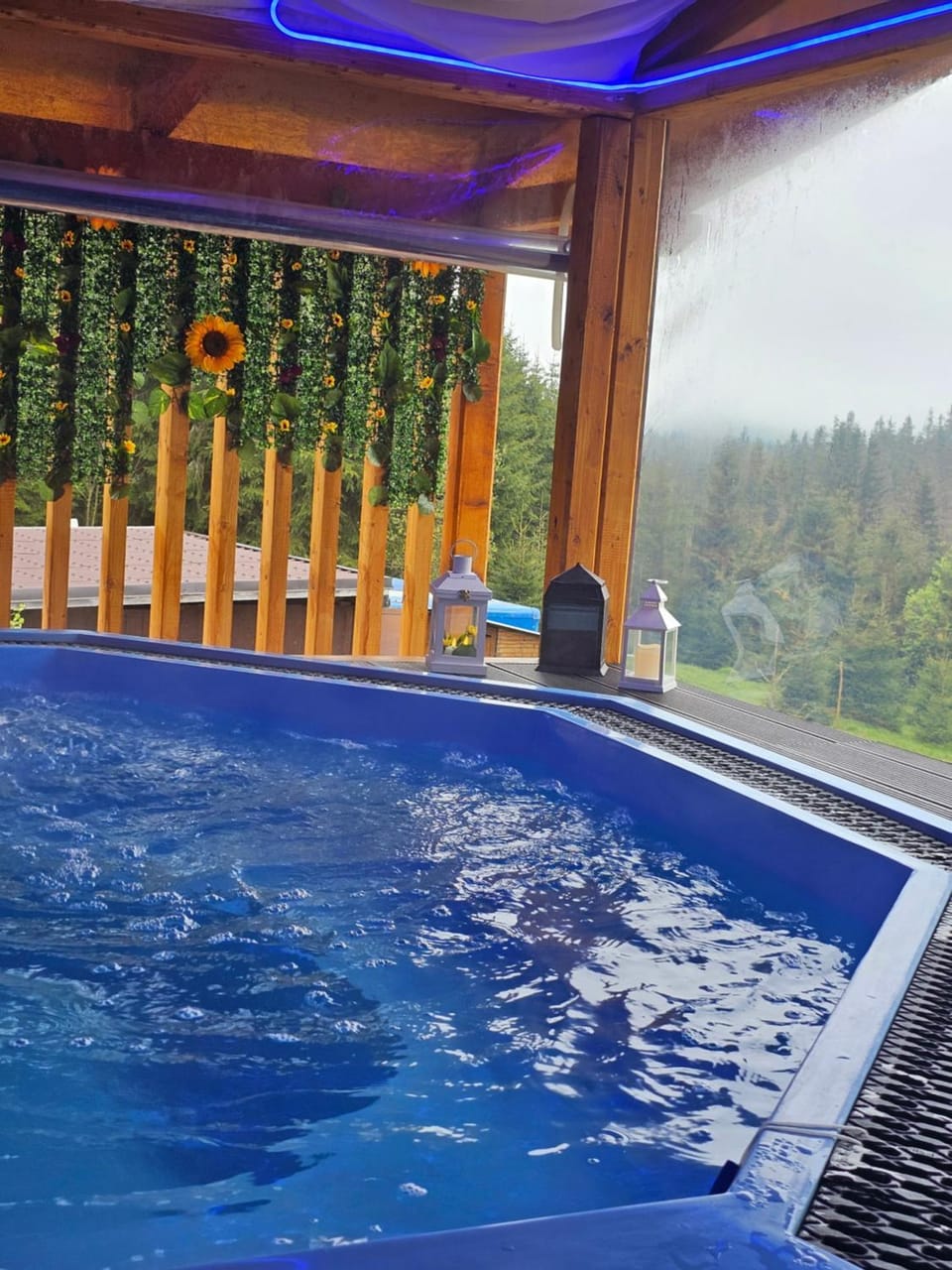 Cabana Refugiul Alpin Beliș House in Cluj County