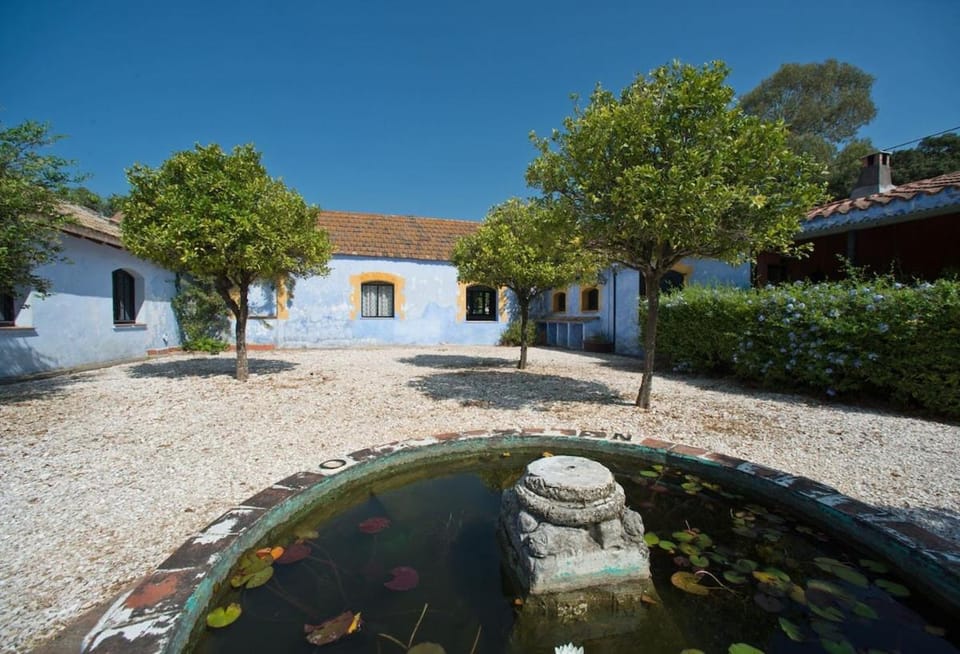 Hideaway cottage swimming pool near Tarifa & Gib House in Andalusia