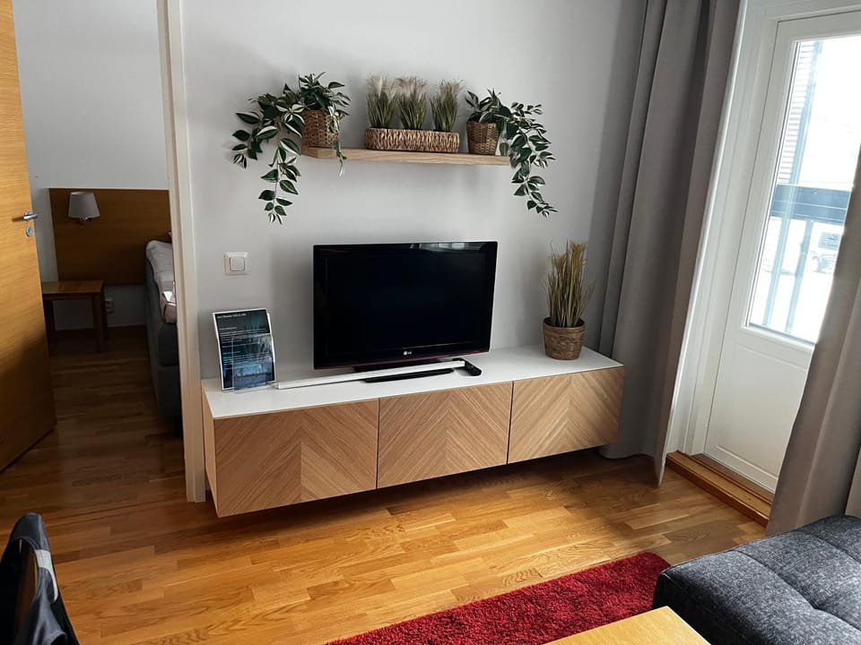 TV and multimedia