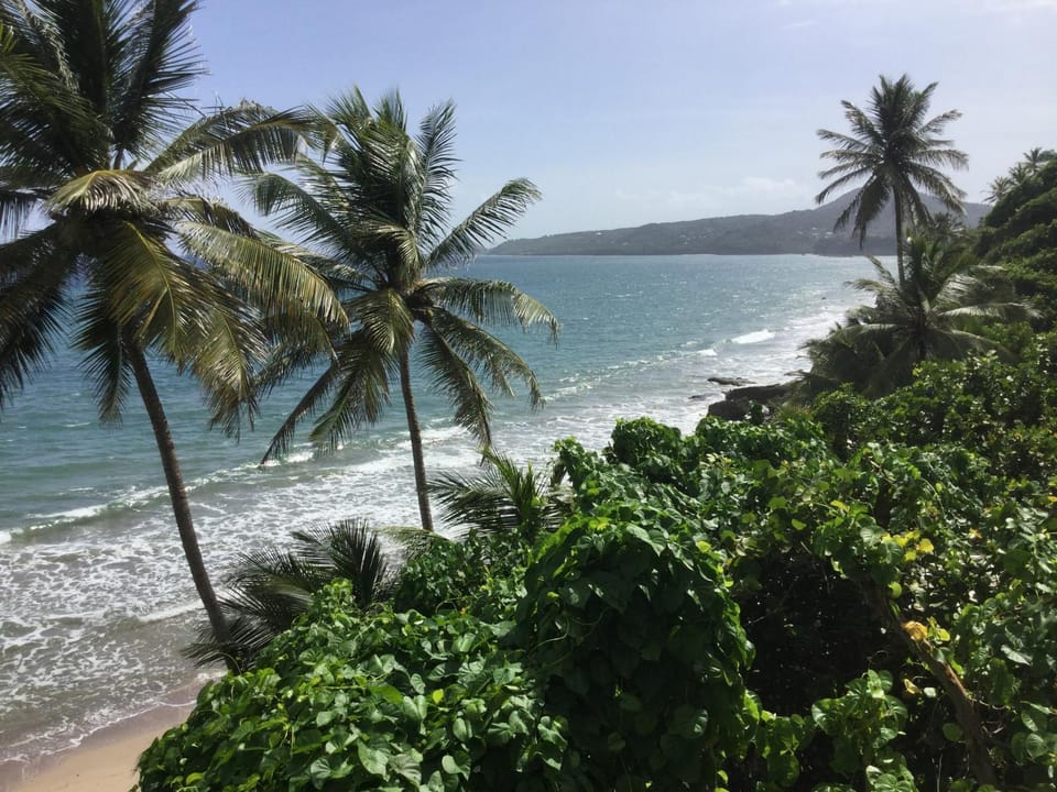 Property building, Beach, Sea view