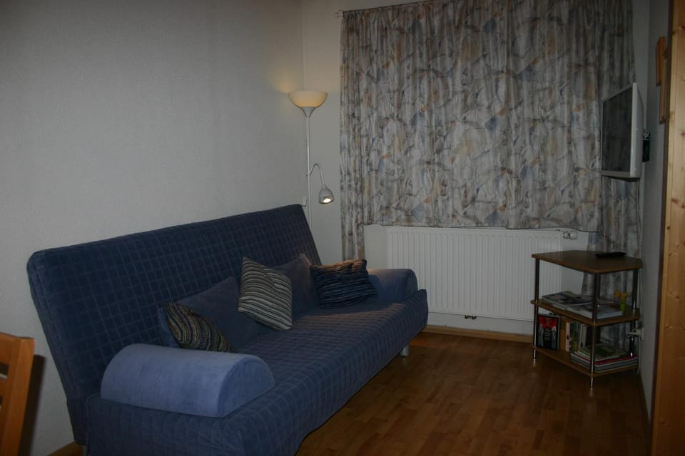 Living room, Photo of the whole room, Seating area