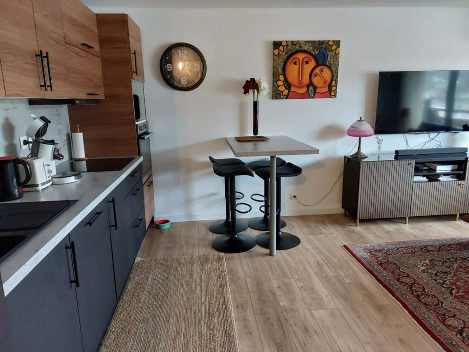 Appartement avec terasse au pied du port Apartment in Capbreton
