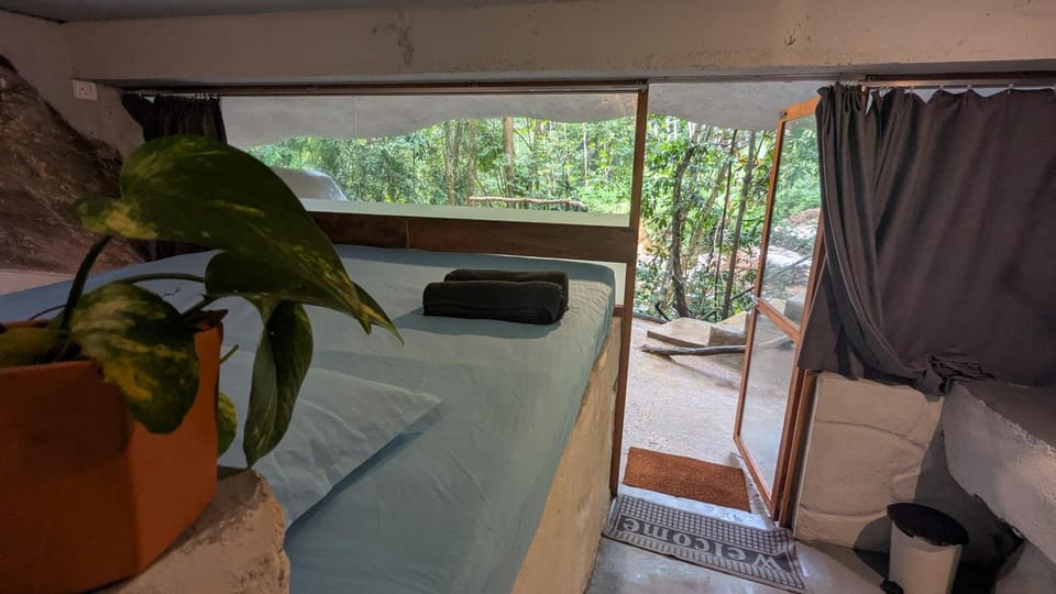 Bed, View (from property/room), Photo of the whole room, Bedroom