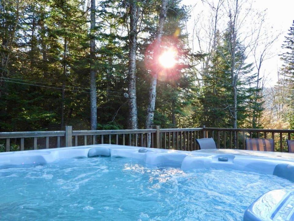 La Petite Alpine - Spa et Montagne Chalet in Baie-Saint-Paul