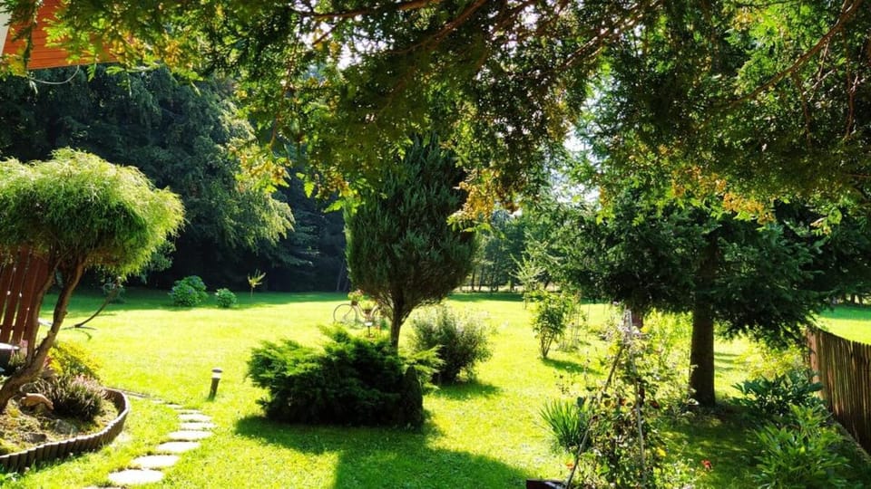 Spring, Day, Natural landscape, Garden, Garden view