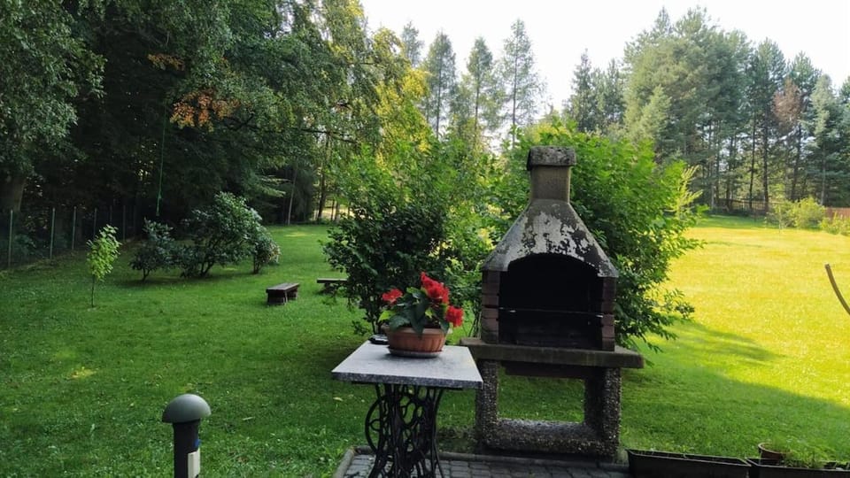 Spring, Day, Natural landscape, Garden, Garden view