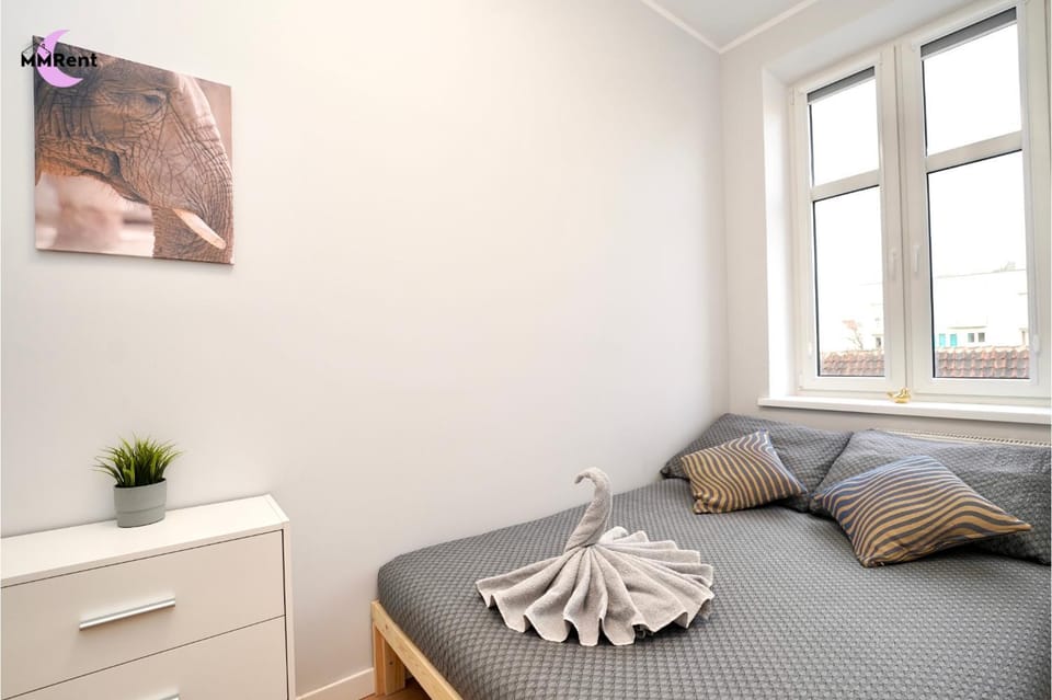 Bed, Photo of the whole room, towels