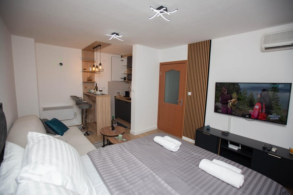 Communal lounge/ TV room, Bed, TV and multimedia, Kitchen or kitchenette, Living room, Seating area, Bedroom, towels, air conditioner