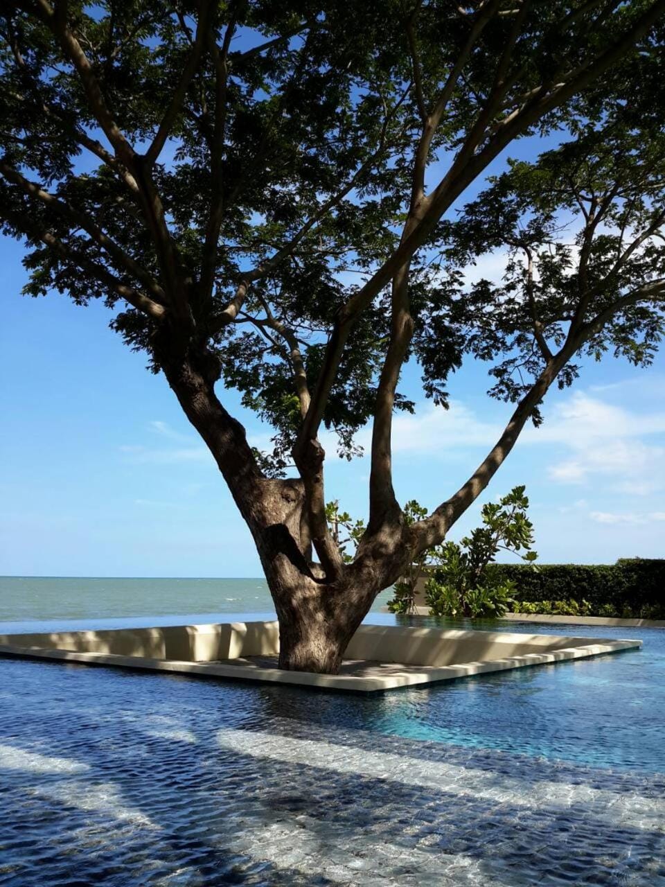 Sea view, Swimming pool