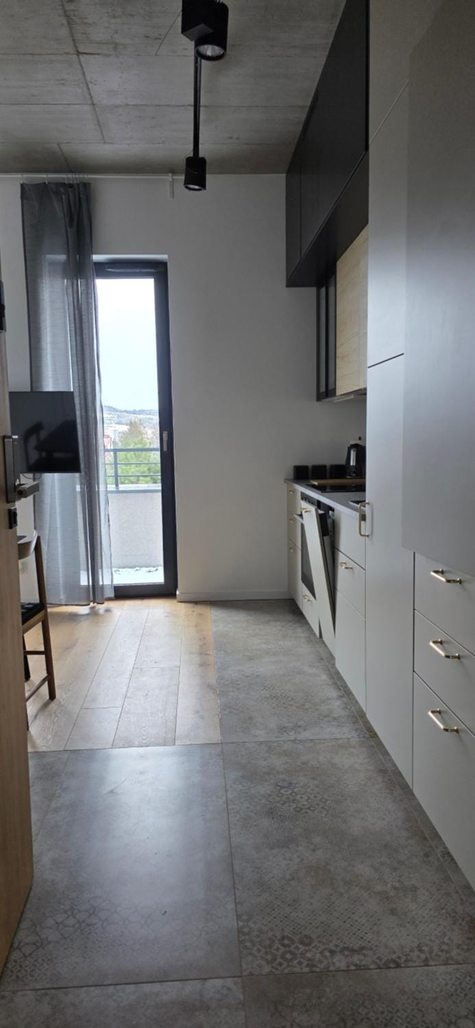 Kitchen or kitchenette, dishwasher, minibar, oven, stove