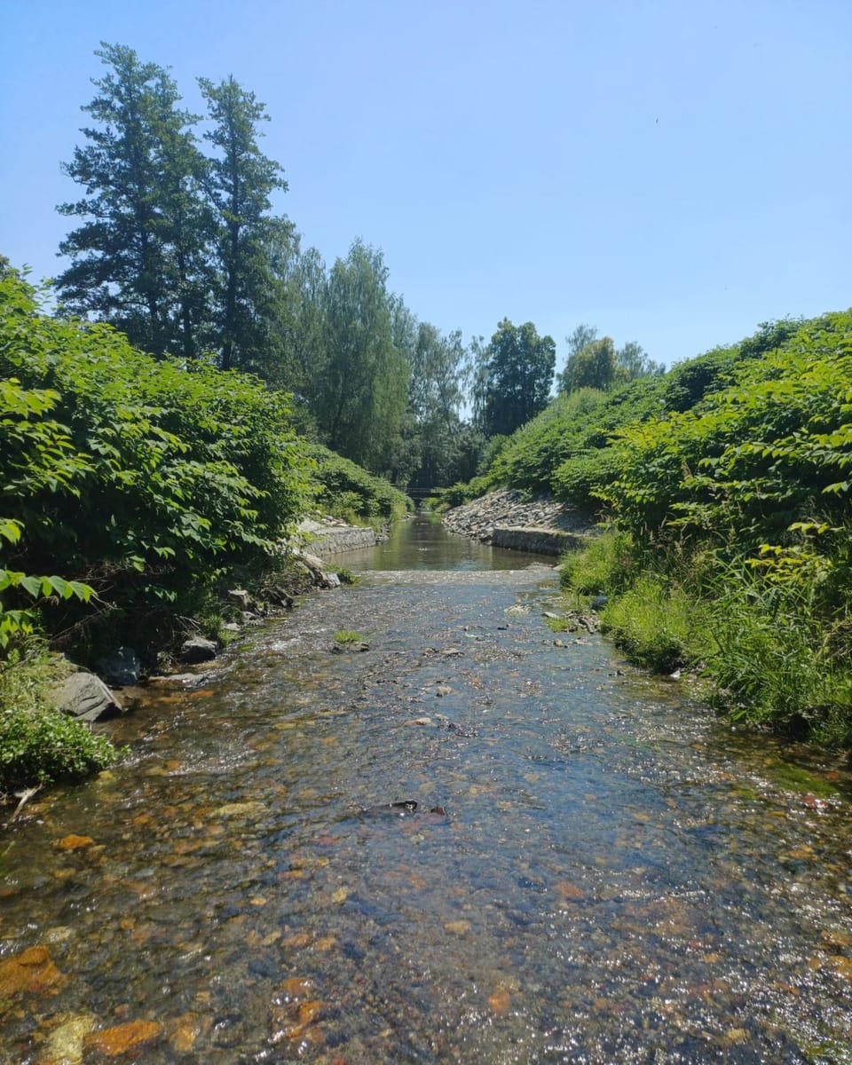 Spring, Day, Natural landscape, River view