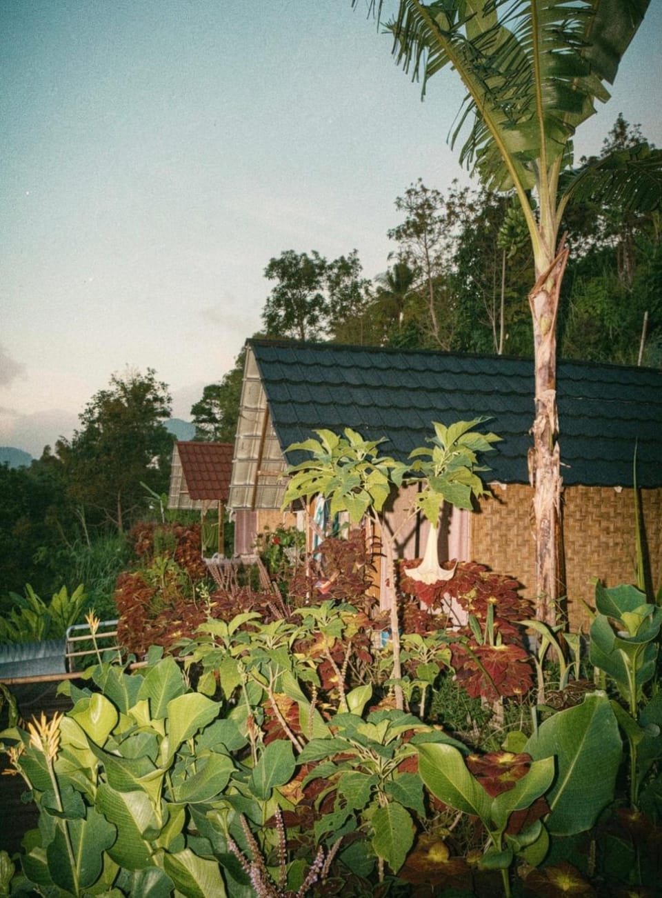 Property building, Natural landscape