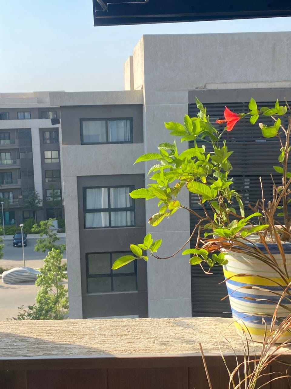 Majestic Vibe Apartment in Cairo Governorate