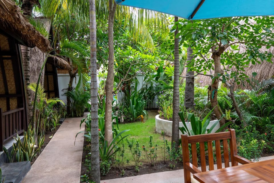 Garden view