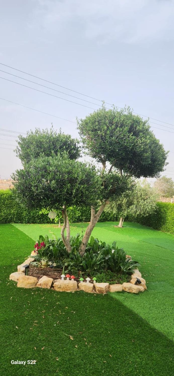 שקט בערבה Apartment in South District