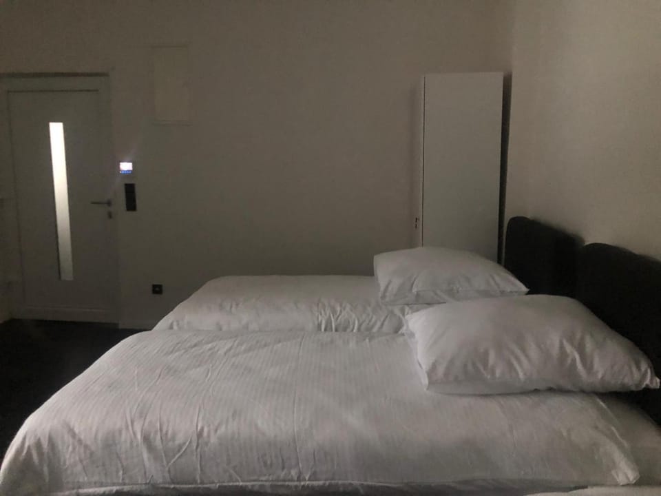 ENSAS Ferienwohnung Wuppertal Uellendahl-Katernberg 1Zi Apart Apartment in Wuppertal