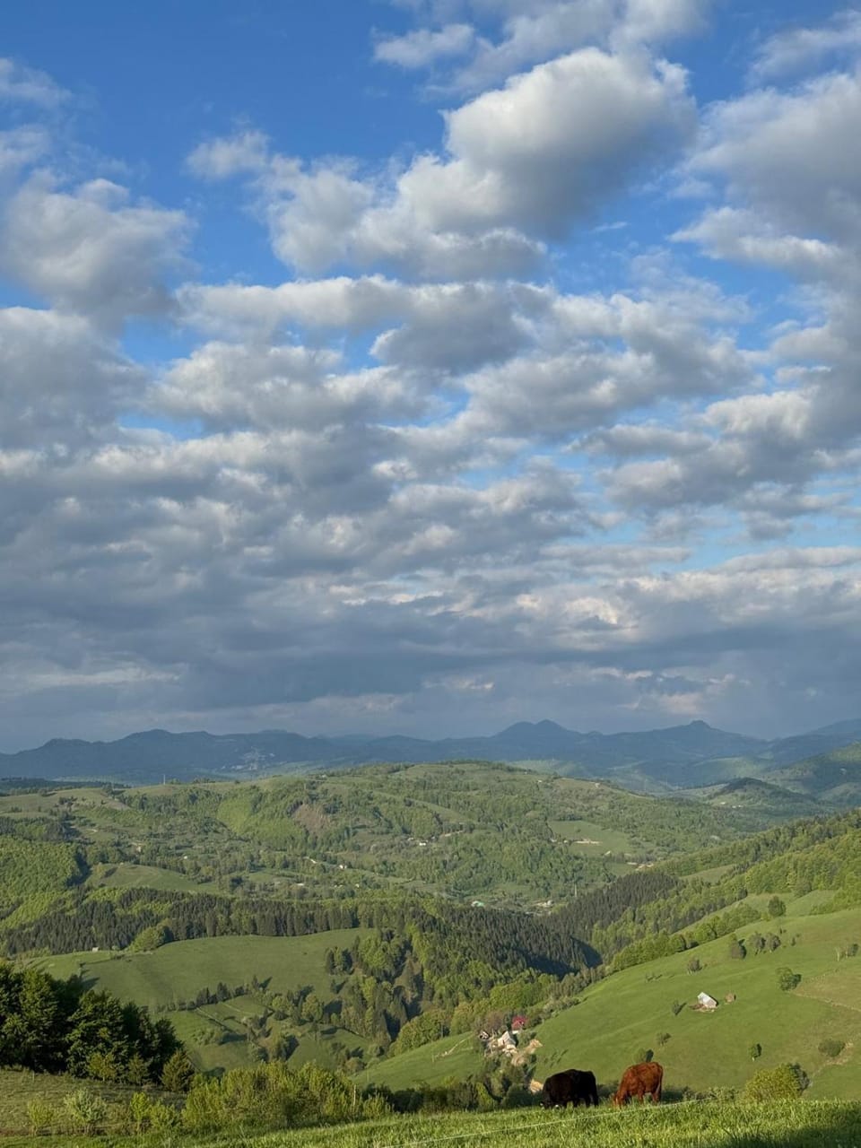 Natural landscape