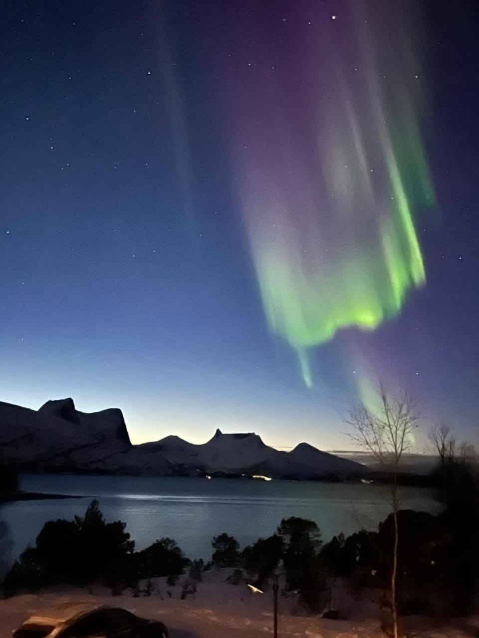 Efjord and Stetind Resort - Cabin Ocean Cabin in Nordland, Norway