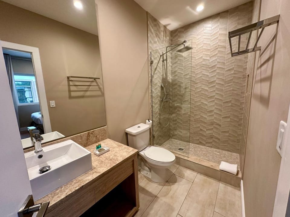 Shower, Toilet, Bathroom, Bath, towels