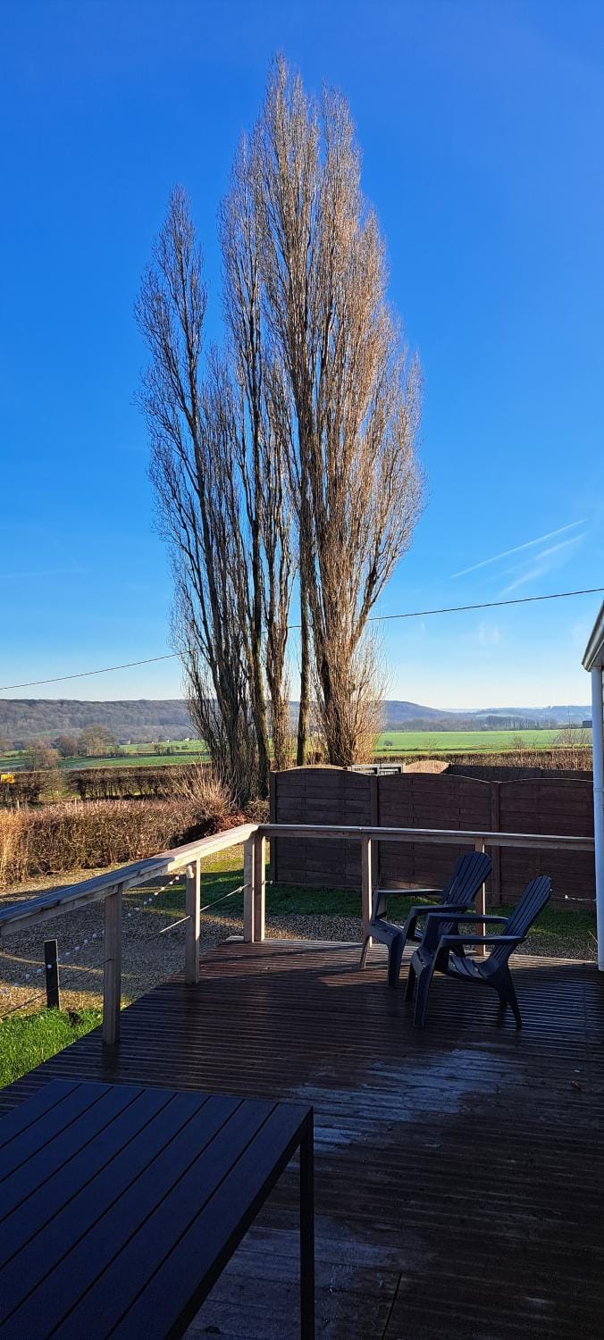 Chalet nr 17 Park Bergzicht Teuven House in Flanders